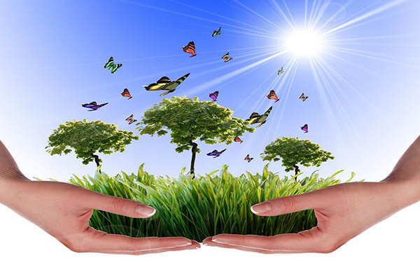 木薯渣烘干設備生產(chǎn)線結構由哪些部分組成 木薯渣烘干設備生產(chǎn)線結構由哪些部分組成